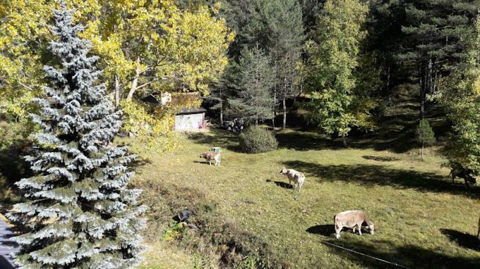 Rblamolina Hotel Alp Kültér fotó